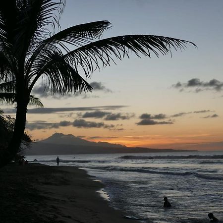La Villa Caribeenne De La Plage Des Surfeurs Trinite  Exterior foto